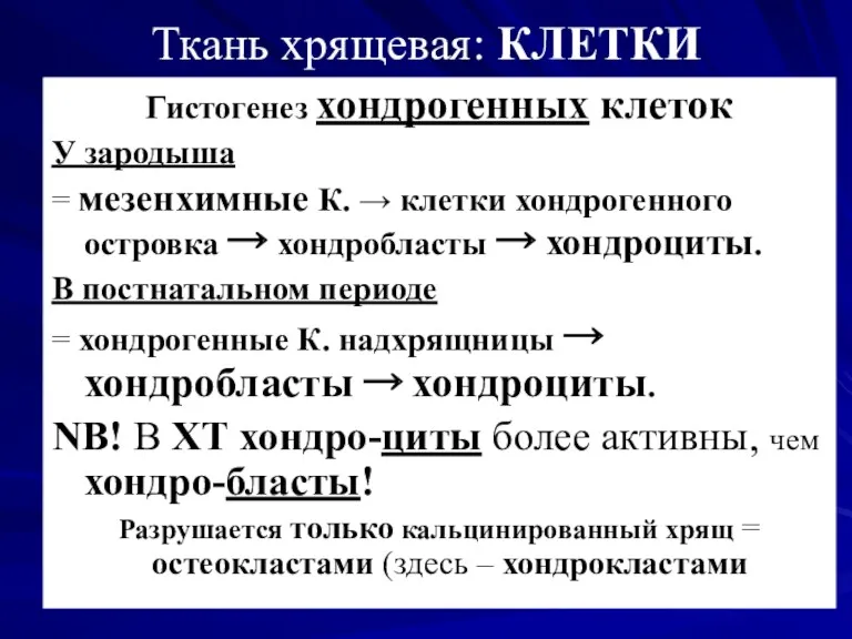 Ткань хрящевая: КЛЕТКИ Гистогенез хондрогенных клеток У зародыша = мезенхимные