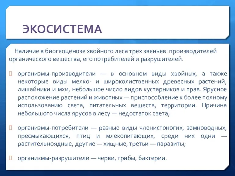 ЭКОСИСТЕМА Наличие в биогеоценозе хвойного леса трех звеньев: производителей органического