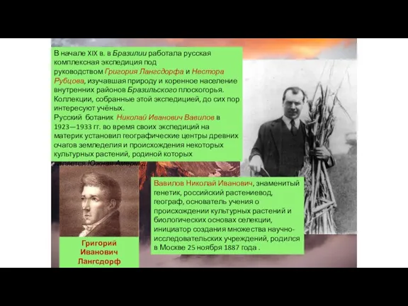 Григорий Иванович Лангсдорф 1774-1852 В начале XIX в. в Бразилии работала русская комплексная