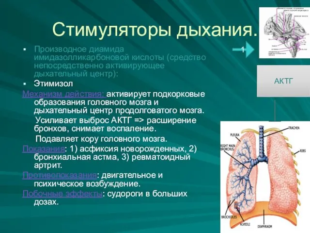 Стимуляторы дыхания. Производное диамида имидазолликарбоновой кислоты (средство непосредственно активирующее дыхательный