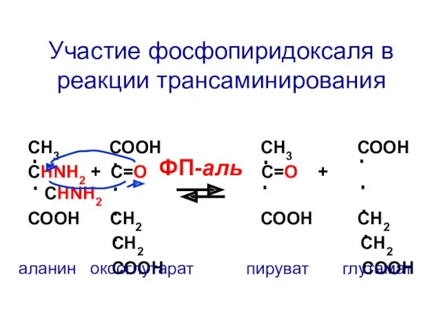 СН3 СООН СН3 СООН СНNH2 + C=О С=О + СНNH2