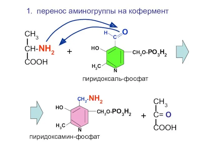 Н О С СН2О-РО3Н2 НО Н3С N СН2-NH2 СН2О-РО3Н2 НО