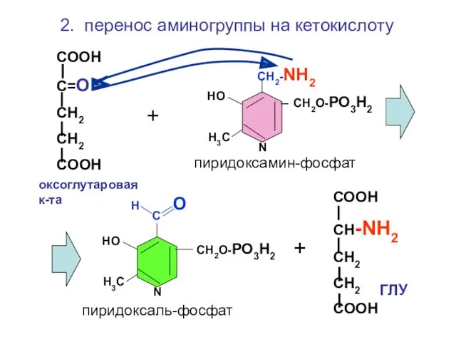 Н О С СН2О-РО3Н2 НО Н3С N СН2-NH2 СН2О-РО3Н2 НО