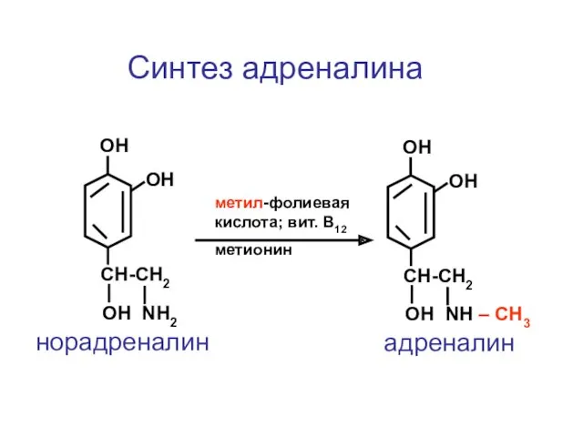 CH-CH2 ОН NH2 ОН ОН норадреналин CH-CH2 ОН NH –