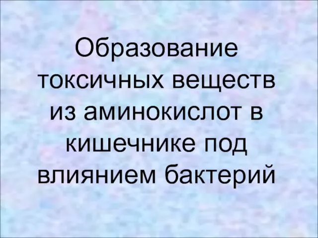 Образование токсичных веществ из аминокислот в кишечнике под влиянием бактерий