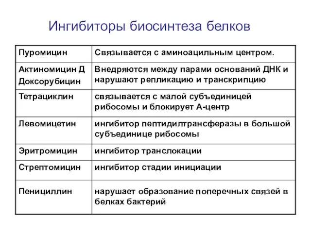 Ингибиторы биосинтеза белков