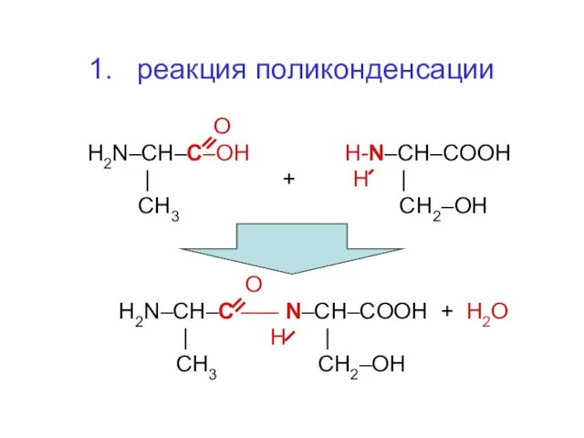 1. реакция поликонденсации О H2N–CH–C–OH H-N–CH–CООH | + H |