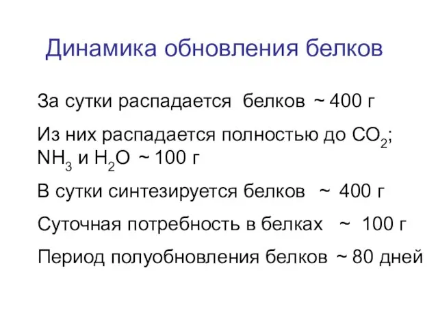 Динамика обновления белков За сутки распадается белков ~ 400 г