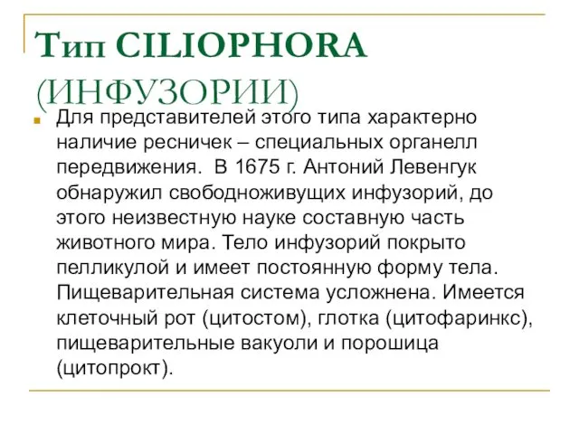 Для представителей этого типа характерно наличие ресничек – специальных органелл