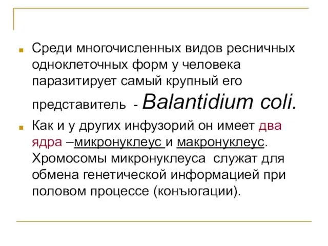 Среди многочисленных видов ресничных одноклеточных форм у человека паразитирует самый