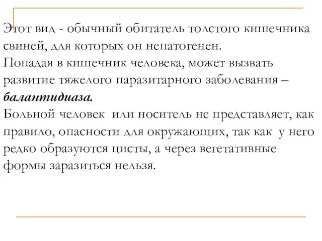 Этот вид - обычный обитатель толстого кишечника свиней, для которых