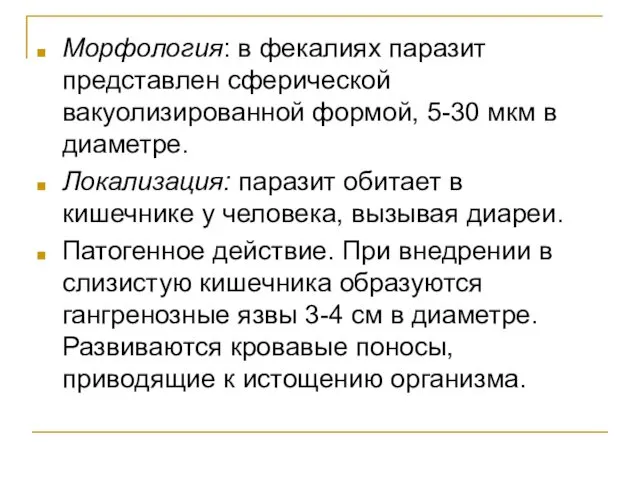 Морфология: в фекалиях паразит представлен сферической вакуолизированной формой, 5-30 мкм