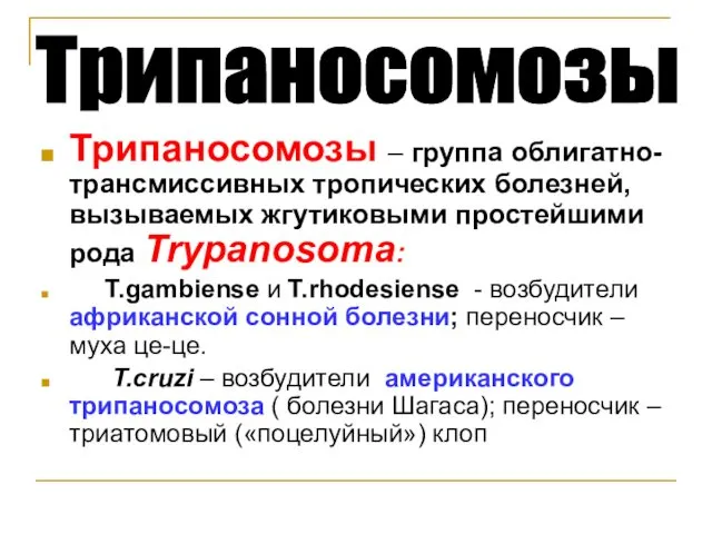 Трипаносомозы – группа облигатно-трансмиссивных тропических болезней, вызываемых жгутиковыми простейшими рода