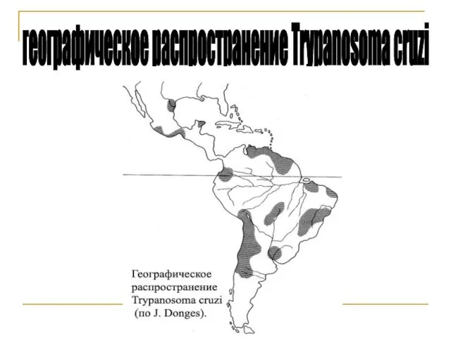 географическое распространение Trypanosoma cruzi