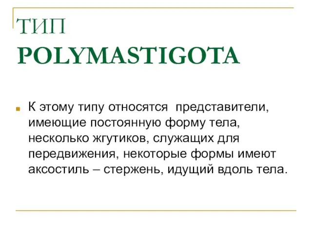 ТИП POLYMASTIGOTA К этому типу относятся представители, имеющие постоянную форму