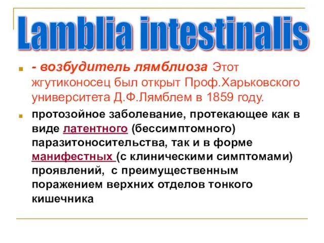 - возбудитель лямблиоза Этот жгутиконосец был открыт Проф.Харьковского университета Д.Ф.Лямблем