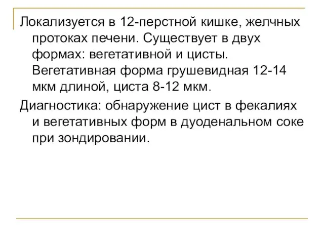 Локализуется в 12-перстной кишке, желчных протоках печени. Существует в двух