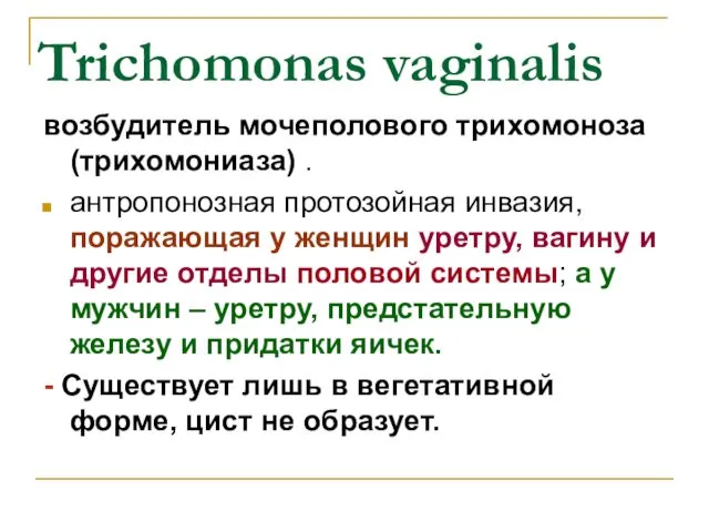 Trichomonas vaginalis возбудитель мочеполового трихомоноза (трихомониаза) . антропонозная протозойная инвазия,