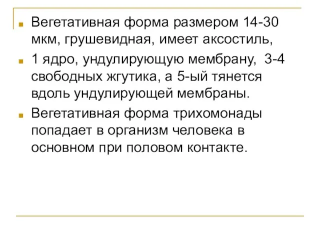 Вегетативная форма размером 14-30 мкм, грушевидная, имеет аксостиль, 1 ядро,