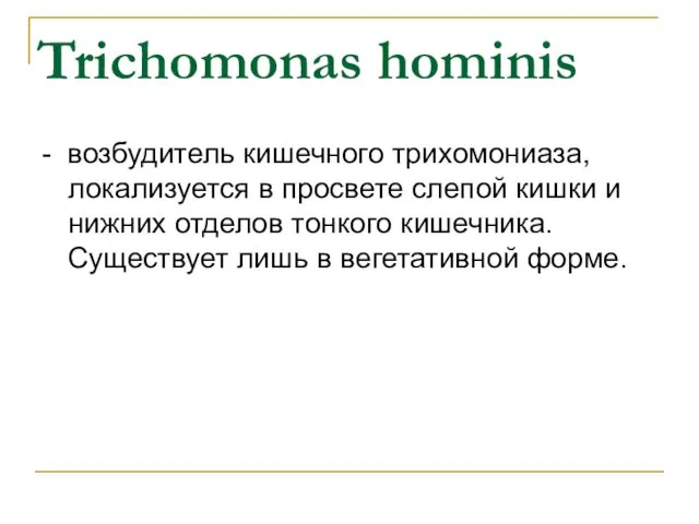 Trichomonas hominis - возбудитель кишечного трихомониаза, локализуется в просвете слепой