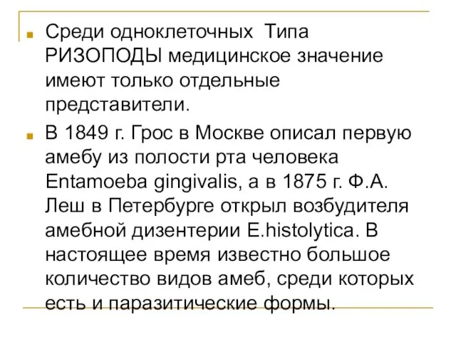 Среди одноклеточных Типа РИЗОПОДЫ медицинское значение имеют только отдельные представители.