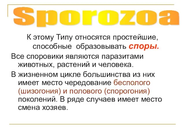 К этому Типу относятся простейшие, способные образовывать споры. Все споровики