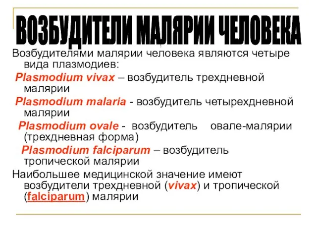 Возбудителями малярии человека являются четыре вида плазмодиев: Plasmodium vivax –