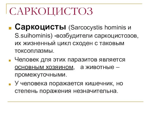 САРКОЦИСТОЗ Саркоцисты (Sarcocystis hominis и S.suihominis) -возбудители саркоцистозов, их жизненный