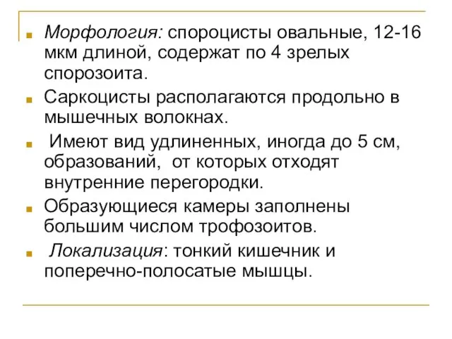 Морфология: спороцисты овальные, 12-16 мкм длиной, содержат по 4 зрелых