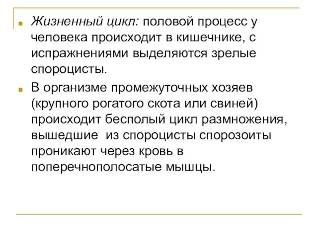 Жизненный цикл: половой процесс у человека происходит в кишечнике, с