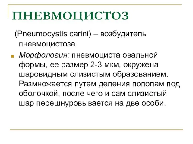 ПНЕВМОЦИСТОЗ (Pneumocystis carini) – возбудитель пневмоцистоза. Морфология: пневмоциста овальной формы,