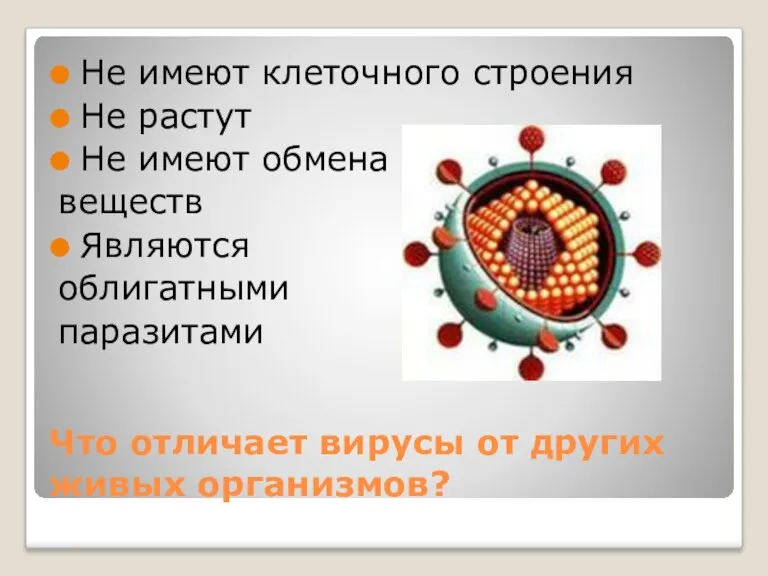 Что отличает вирусы от других живых организмов? Не имеют клеточного