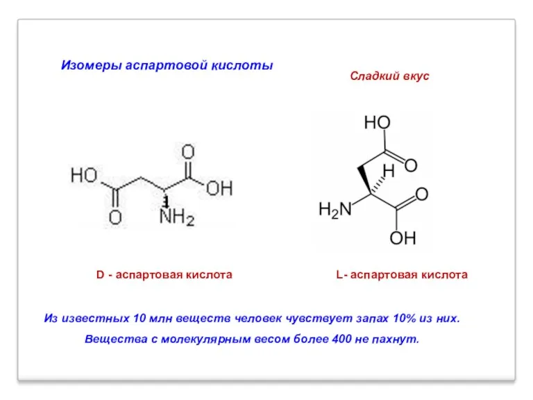 L- аспартовая кислота D - аспартовая кислота Сладкий вкус Изомеры