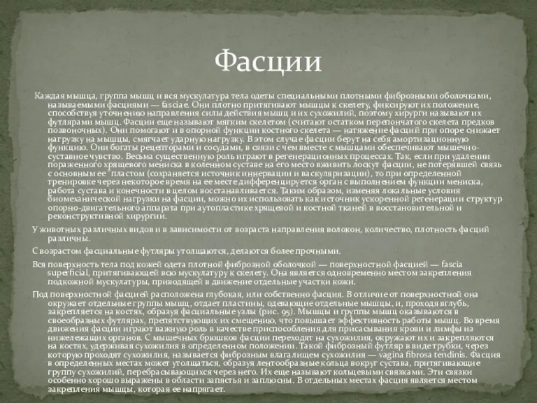 Каждая мышца, группа мышц и вся мускулатура тела одеты специальными