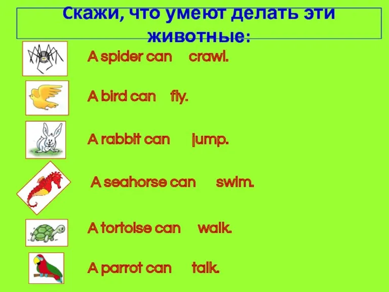 A spider can fly. crawl. jump. swim. A seahorse can