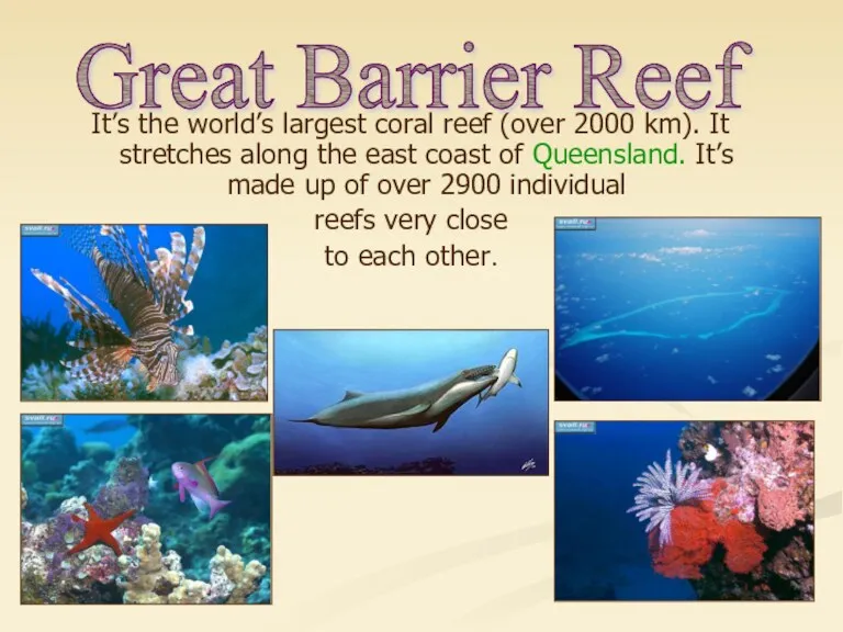 It’s the world’s largest coral reef (over 2000 km). It