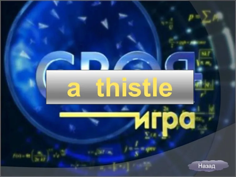 a thistle Назад
