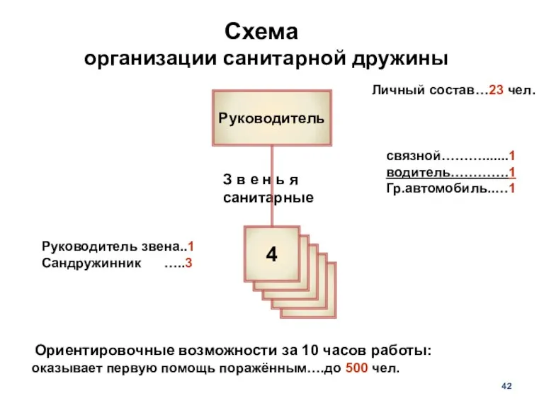 Схема организации санитарной дружины Руководитель З в е н ь