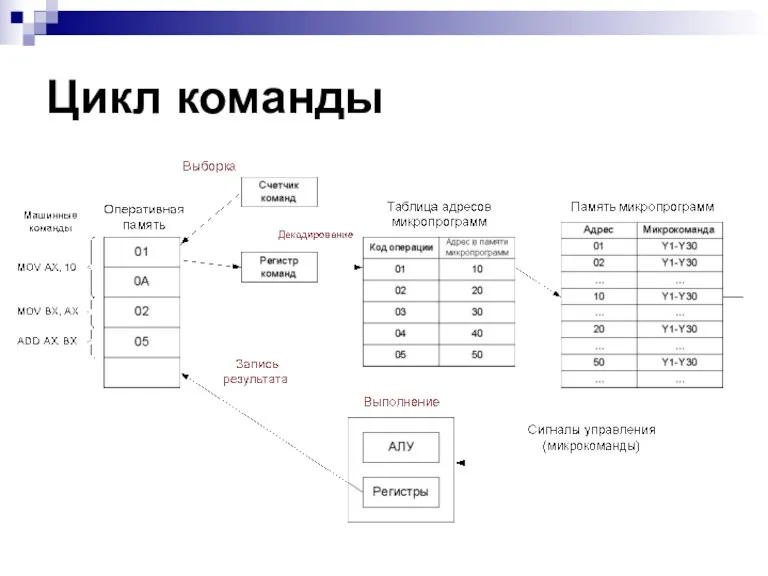 Цикл команды