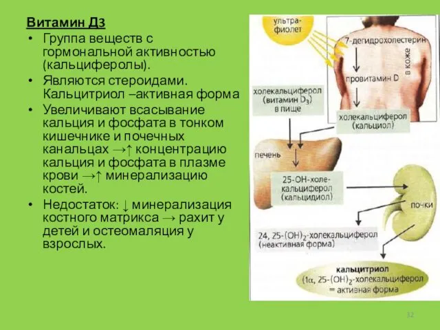 Витамин Д3 Группа веществ с гормональной активностью (кальциферолы). Являются стероидами.