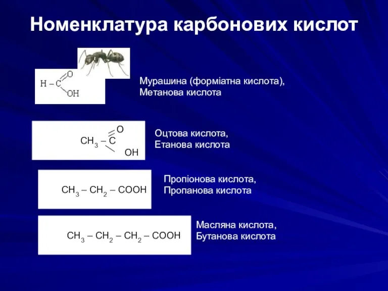 Номенклатура карбонових кислот Мурашина (форміатна кислота), Метанова кислота O CH3