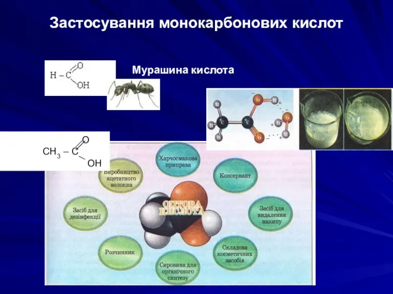 Застосування монокарбонових кислот Мурашина кислота O CH3 – C OH