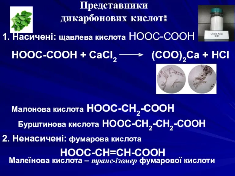 Представники дикарбонових кислот: 1. Насичені: щавлева кислота НООС-СООН НООС-СООН +