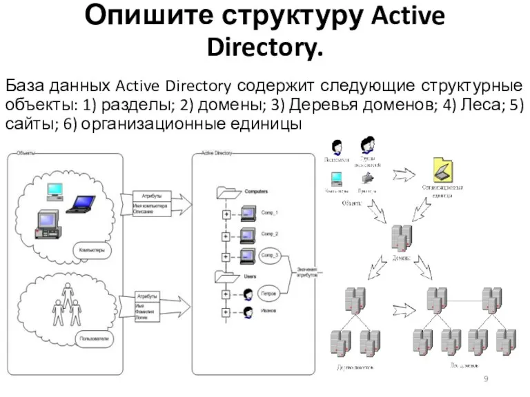 Опишите структуру Active Directory. База данных Active Directory содержит следующие