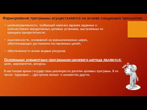 Формирование программы осуществляется на основе следующих принципов: целенаправленности, требующей наличия