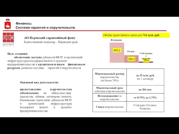 АО Пермский гарантийный фонд Единственный акционер – Пермский край Основной