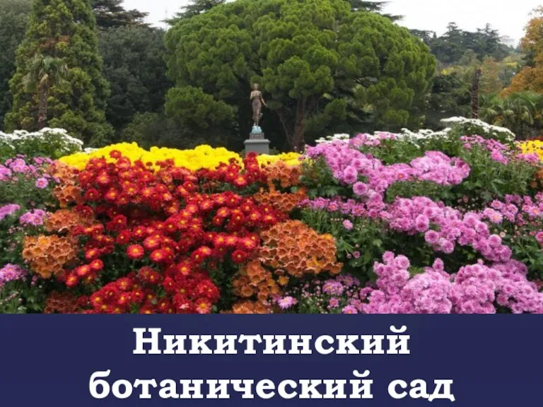 Никитинский ботанический сад