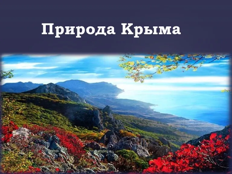 Природа Крыма
