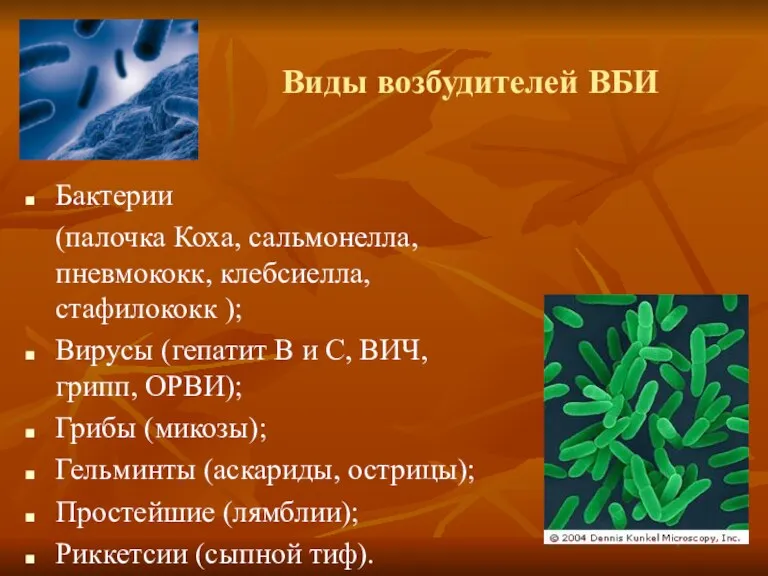 Виды возбудителей ВБИ Бактерии (палочка Коха, сальмонелла, пневмококк, клебсиелла, стафилококк ); Вирусы (гепатит