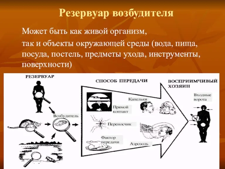 Резервуар возбудителя Может быть как живой организм, так и объекты